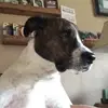 Scot Cushing - @user2781973842718 - TikTok