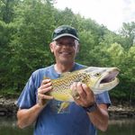 Scott Cushing - @im4vols_scott - Instagram