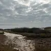Scott Shaw - @scott.shaw164 - TikTok