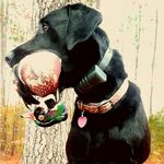 Scott Dakin - @cooty1403 - Instagram