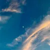 Scotty_Dameron - @scottydamern - TikTok