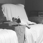 Scott Danner - @scoot716 - Instagram