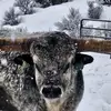 Darby Scott - @darbyscott439 - TikTok