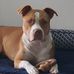 Scott Darby - Facebook