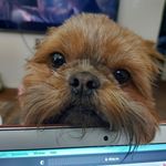 Scott DeJong - @scottdejong6679 - Instagram