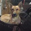 SCOTT DILLON - @scott.dillon54 - TikTok
