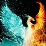 scott dillon - @phoenixgaming0205 - Instagram