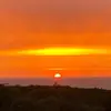 Scott_Dose - @scott_dose - TikTok