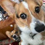 Scott Driver - @scotthdriver - Instagram