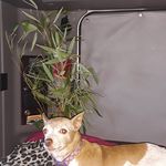 Scott Driver - @fuckfactcheckers - Instagram