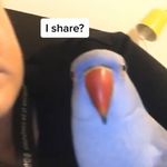 @duda_scott_ofc - Instagram