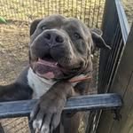 Scott Dutton - @_scott_dutton_ - Instagram