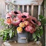 Cindy Eberle Scott - @cindyeberlescott - Instagram