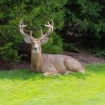 Scott Eberle - @oakmont66 - Instagram