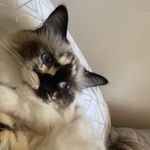 Scott Egan - @scott__egan - Instagram