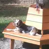 scott egan - @scott.egan1 - TikTok