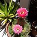 Scot Eiler - Facebook