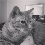 Scott W Eilerts - @scottweilerts - Instagram