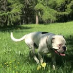 Scott Epperson - @epperson5402 - Instagram