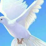 Edson Scott - Facebook