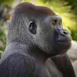 Scott Fullerton - @scottfullerton3335 - Instagram