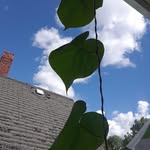 Scott Furrow - @scott.furrow - Instagram
