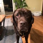 Scott Gabriel - @scott_gabriel_2008 - Instagram