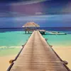 Scott Gabriel - @scottgabriel4 - TikTok