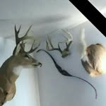 Scott Gabrielson - @porkchoppsg - Instagram