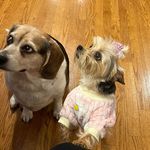 Sherry Scott Gammon - @gammonsherry - Instagram