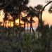 Scott Gantt - Facebook
