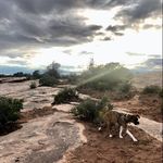 Scott Garber - @scott_clott_trot - Instagram