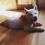 Scott Garlick - @garlick_scott - Instagram