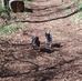 Scott Garmon - Facebook