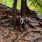 Scott Garrow - @scott_garrow - Instagram