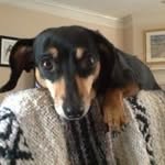 Scott Garvey - @speeda326 - Instagram