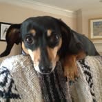 Scott Garvey - Facebook