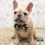 Scott Gasparini - @scott_gasparini - Instagram