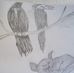 Scott Gerring - Facebook