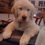 Scott Gerhart - @scottgerhart21 - Instagram