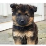 @_scott.german - Instagram