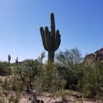 Scott german - @scottgerman5 - Instagram