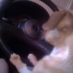 Scott Giesel - @scott_giesel - Instagram