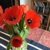 Scott Gifford775 - @scottgifford5561 - TikTok