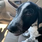 Scott Gifford - @azgiff - Instagram