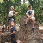 @scott.gillies.161 - Instagram