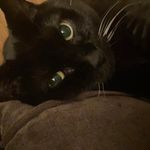 Scott Goins - @scott_goins74 - Instagram
