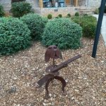 Scott Goins - @scottygvfl - Instagram