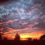 Scott Golding - @gnidlog2000 - Instagram