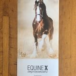 Scott Goodall - @eqx.improvements - Instagram